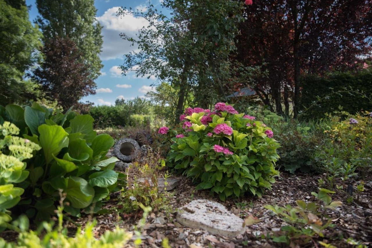 Bed and Breakfast La Demalerie Шеверни Экстерьер фото
